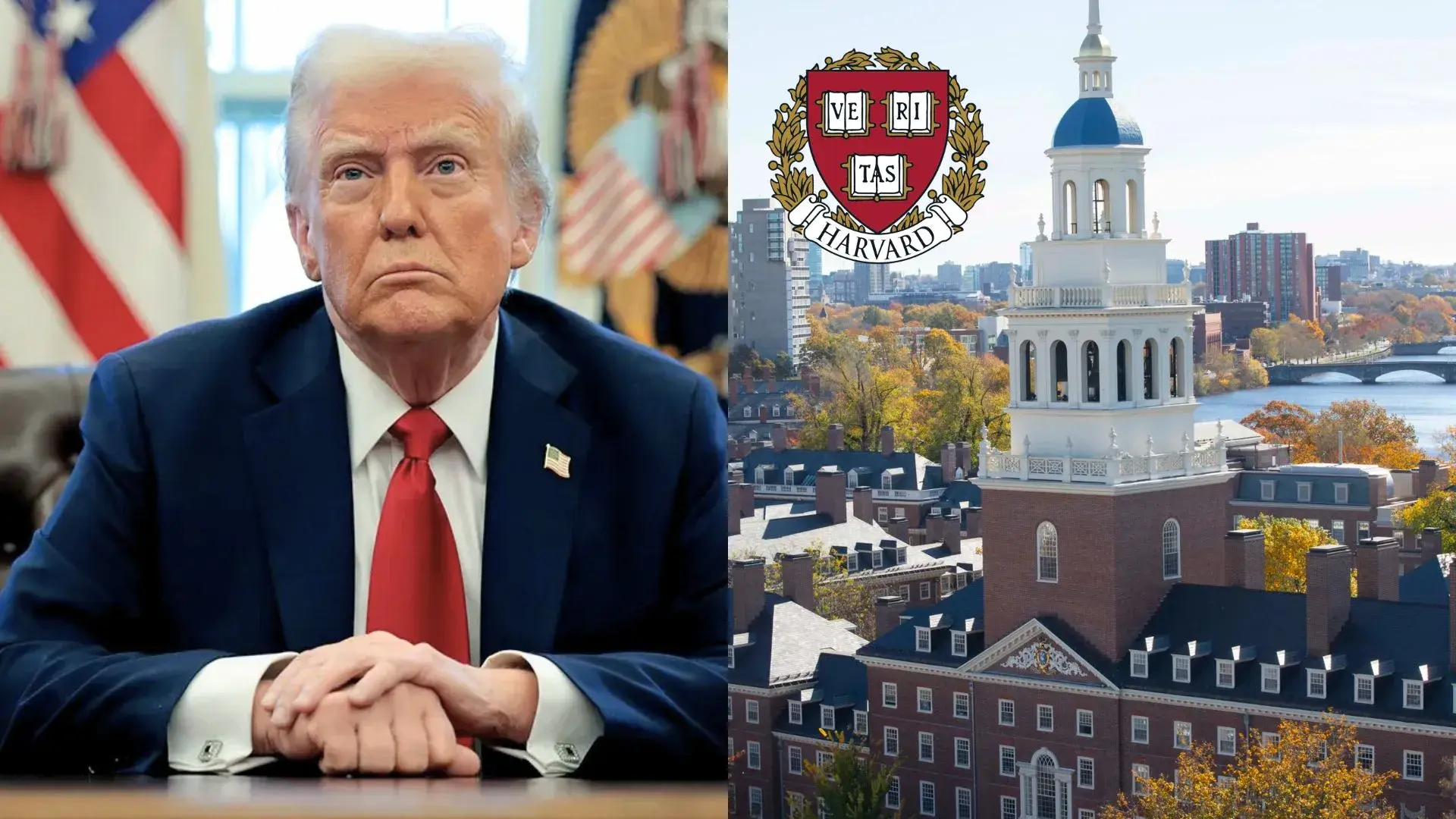 hardvard -university